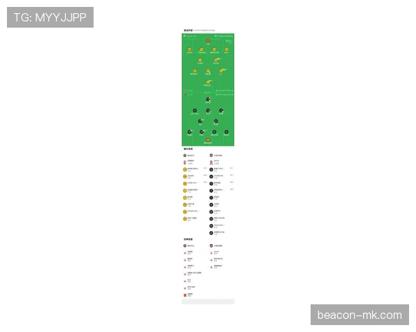 贝西克塔斯新赛季阵容深度解析：挑战与机遇并存